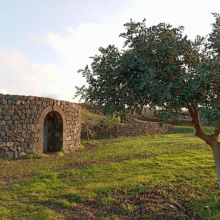 Il Dammuso Di Gianni Holiday home